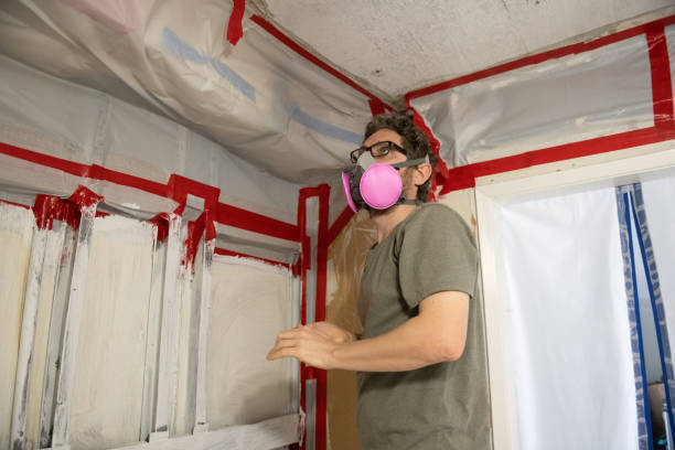 Best Mold Removal for HVAC Installations  in Ham Lake, MN