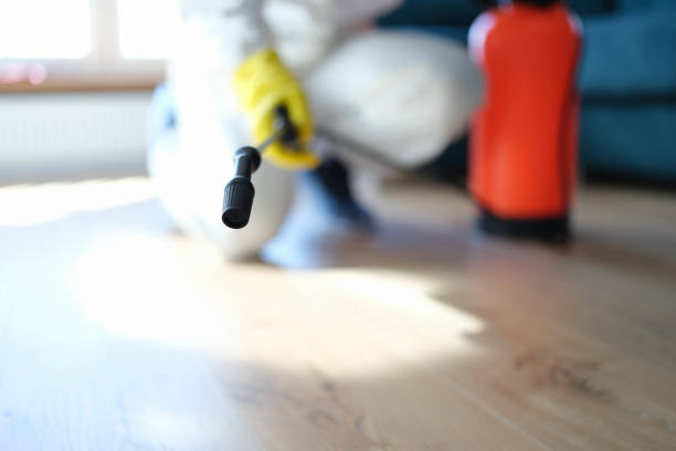 Best Commercial Mold Inspection  in Ham Lake, MN