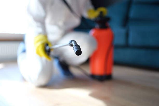 Best Comprehensive Air Testing for Mold Contaminants  in Ham Lake, MN