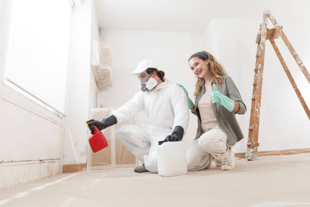 Best Asbestos and Lead Testing During Mold Inspection  in Ham Lake, MN